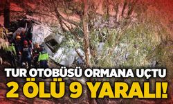Tur otobüsü ormana uçtu, 2 Ölü 9 yaralı!