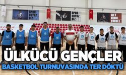 Ülkü Ocakları Zonguldak’ta ilçeler arası basketbol turnuvası düzenledi