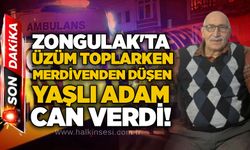 Zongulak'ta üzüm toplarken merdivenden düşen yaşlı adam can verdi!