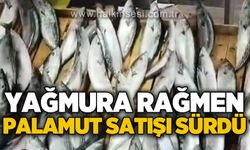 Zonguldak'ta yağmura rağmen palamut satışı sürdü