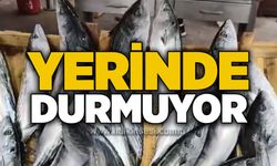 Yerinde durmuyor