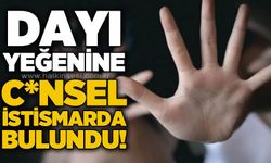 Engelli yeğenine c*nsel istismarda bulunan dayı 24 yıl hapis cezasına çarptırıldı!
