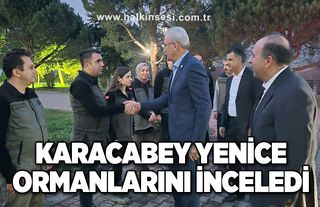 Karacabey Yenice ormanlarını inceledi