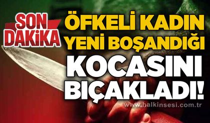 Öfkeli kadın yeni boşandığı kocasını bıçakladı