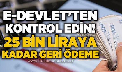 E-Devlet'ten kontrol edin: 25 Bin Liraya kadar geri ödeme