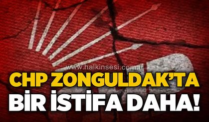 CHP Zonguldak'ta bir istifa daha!