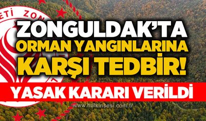 Zonguldak'ta orman yangınlarına karşı tedbir: Ateş ve mangal yasağı başladı