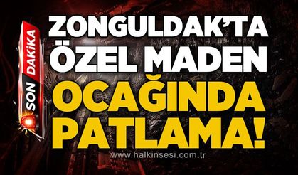 Zonguldak'ta özel maden ocağında grizu patlaması!