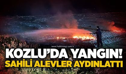 Kozlu’da yangın! Sahili alevler aydınlattı