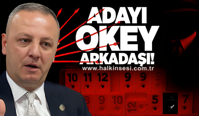 Adayı okey arkadaşı!