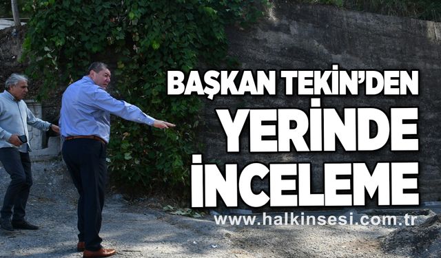 Başkan Tekin'den yerinde inceleme