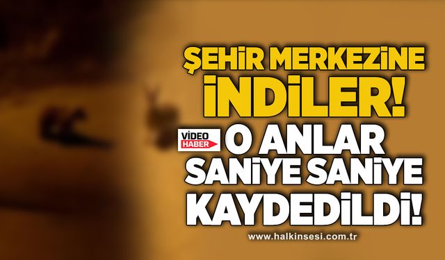 Karabük