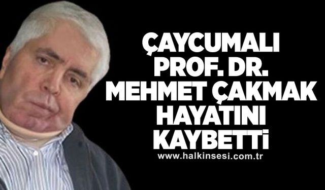 Çaycumalı Prof. Dr. Mehmet Çakmak hayatını kaybetti!