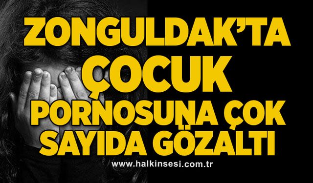 Zonguldak’ta çocuk pornosuna çok sayıda gözaltı