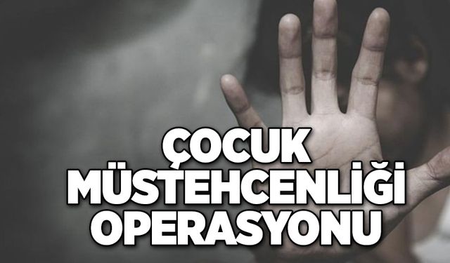 Çocuk müstehcenliği operasyonu