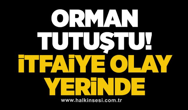 Orman tutuştu! İtfaiye olay yerinde