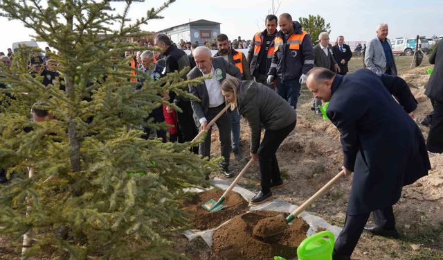 Yaslıkaya: “Kastamonu ormanlarının 23,5’i ağaçlandırmalarla elde edilmiştir”