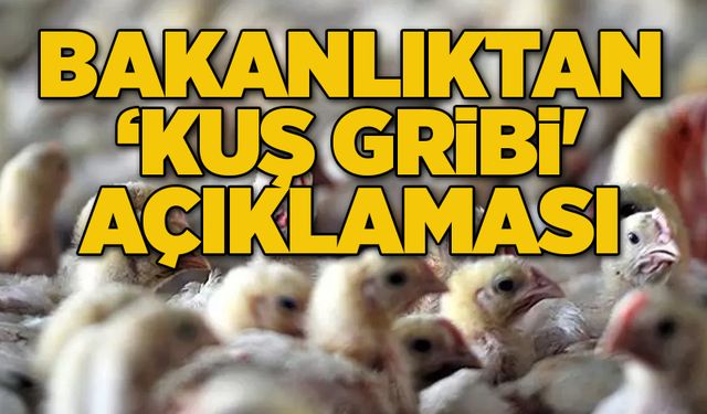 Bakanlıktan ‘kuş gribi' açıklaması