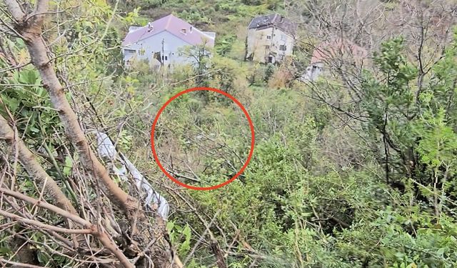 Otomobili ile 25 metre yüksekten uçuruma uçtu, burnu bile kanamadan kurtuldu