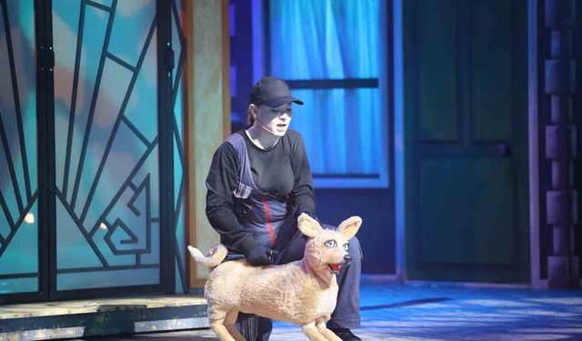 "Şebo Müzikali" sokak hayvanlarının sesi oldu