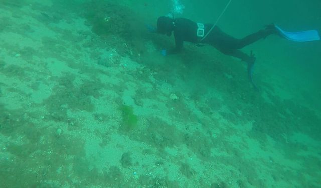 Hayalet ağdan temizlendi