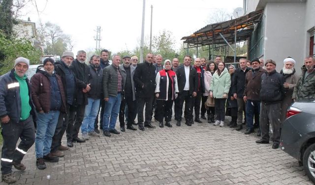 Fındıkta file sistemiyle verimlilik artıyor
