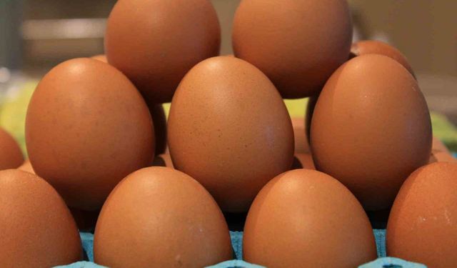 Yumurtada fiyatlar düşünce ihracatta fon kesintisinin kaldırılması istendi