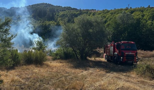 Kastamonu’da ormanlık alanda çıkan yangın büyümeden söndürüldü