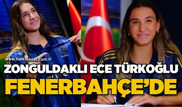 Spor