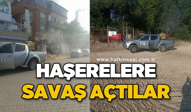 Haşerelere karşı savaş açtılar