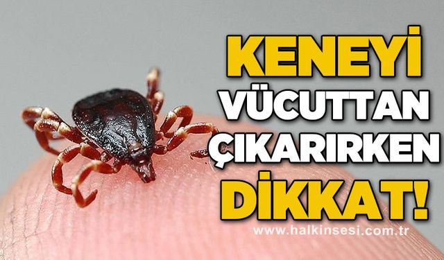 Keneyi vücuttan çıkartırken dikkat
