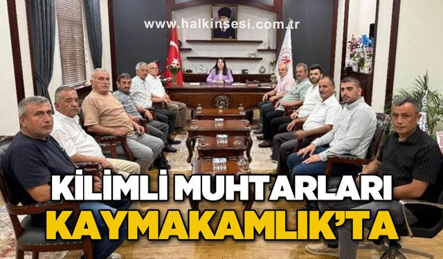 Kilimli