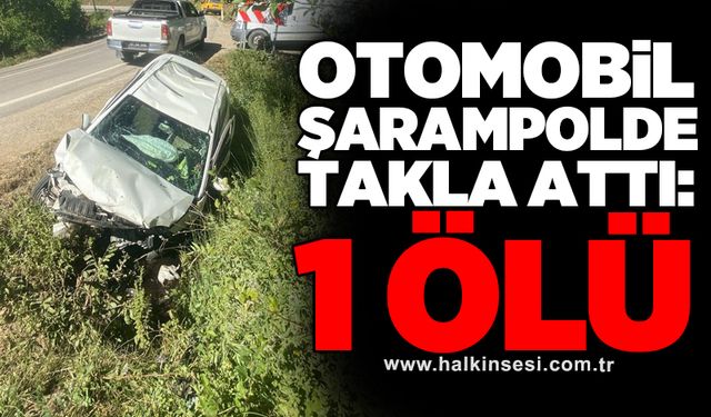 Otomobil şarampolde takla attı: 1 ölü
