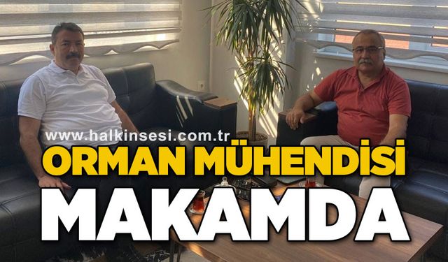 Orman mühendisi makamda