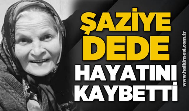 Devrek