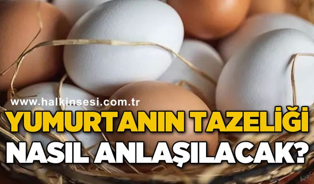 Yumurtanın tazeliği nasıl anlaşılacak?