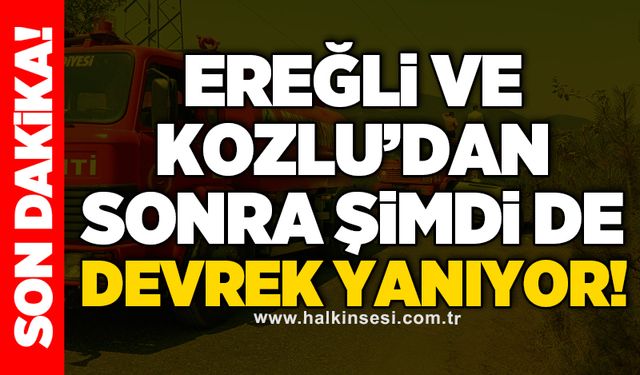 Ereğli ve Kozlu’dan sonra şimdi de Devrek yanıyor!