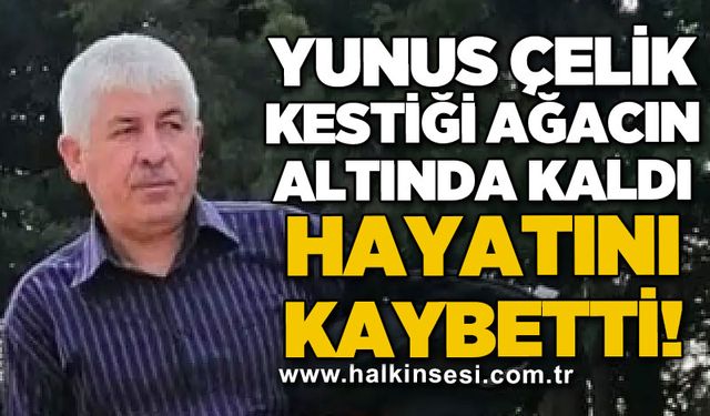 Bartın