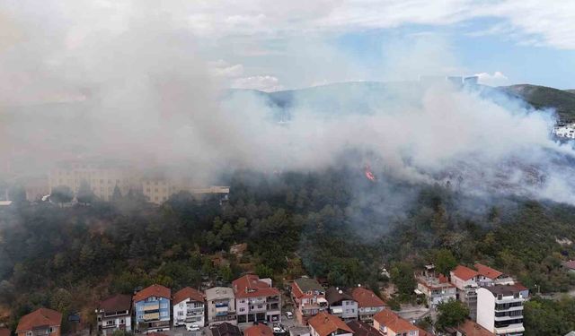 Kocaeli’de ağaçlık alana sıçrayan yangın kontrol altına alındı