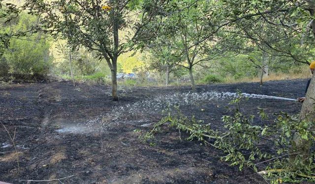 Bolu’da otluk alanda çıkan yangın ormana sıçramadan söndürüldü