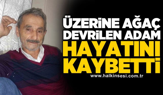 Üzerine ağaç devrilen adam hayatını kaybetti