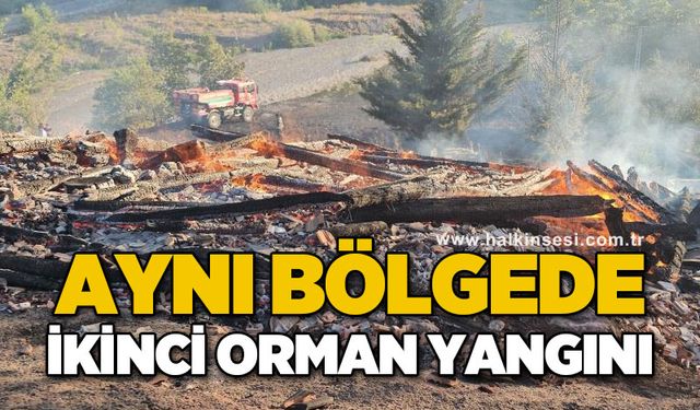 Aynı bölgede ikinci orman yangını: 5 samanlık küle döndü
