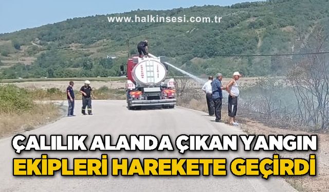 Çaycuma