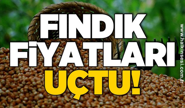 Fındık fiyatları uçtu!