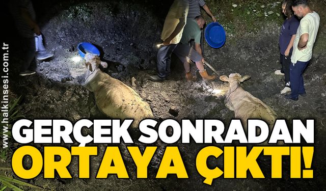 Çaycuma