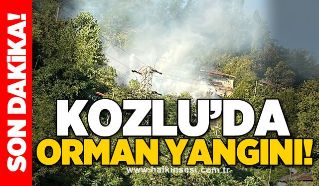 Kozlu’da orman yangını!