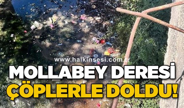 Mollabey Deresi çöplerle doldu, köylüler tepkili