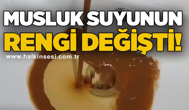 Çaycuma
