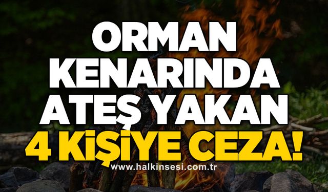 Orman kenarında ateş yakan 4 kişiye ceza!