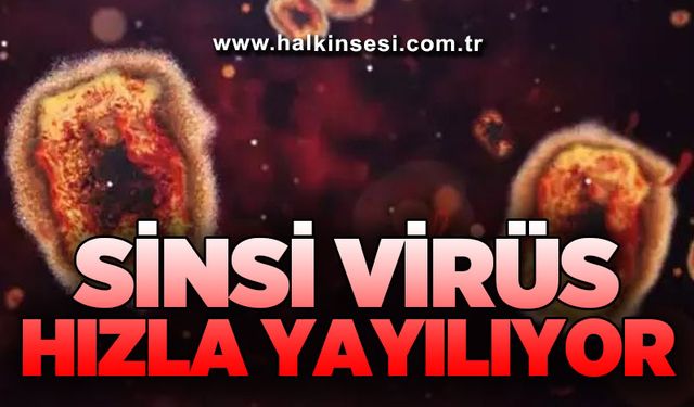Sinsi virüs hızla yayılıyor!